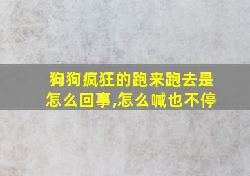 狗狗疯狂的跑来跑去是怎么回事,怎么喊也不停