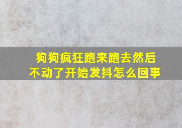 狗狗疯狂跑来跑去然后不动了开始发抖怎么回事