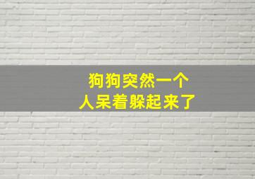 狗狗突然一个人呆着躲起来了