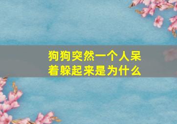 狗狗突然一个人呆着躲起来是为什么