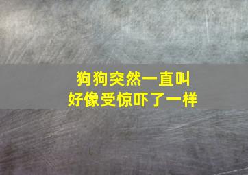 狗狗突然一直叫好像受惊吓了一样