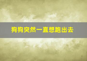 狗狗突然一直想跑出去