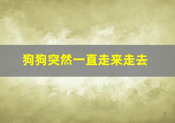 狗狗突然一直走来走去