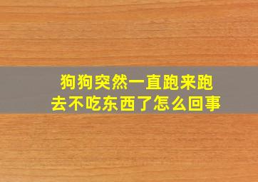 狗狗突然一直跑来跑去不吃东西了怎么回事