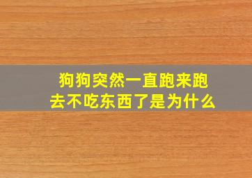 狗狗突然一直跑来跑去不吃东西了是为什么