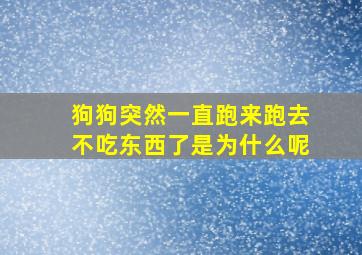 狗狗突然一直跑来跑去不吃东西了是为什么呢