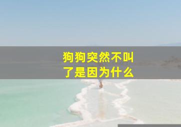 狗狗突然不叫了是因为什么