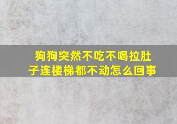 狗狗突然不吃不喝拉肚子连楼梯都不动怎么回事