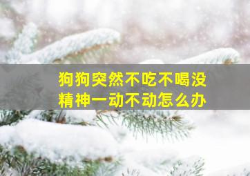 狗狗突然不吃不喝没精神一动不动怎么办