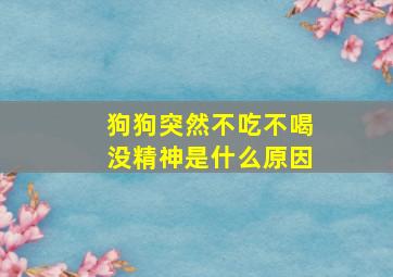 狗狗突然不吃不喝没精神是什么原因