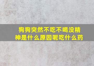 狗狗突然不吃不喝没精神是什么原因呢吃什么药