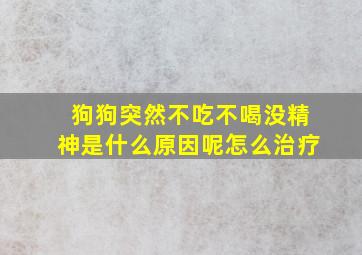 狗狗突然不吃不喝没精神是什么原因呢怎么治疗