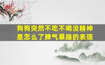 狗狗突然不吃不喝没精神是怎么了脾气暴躁的表现