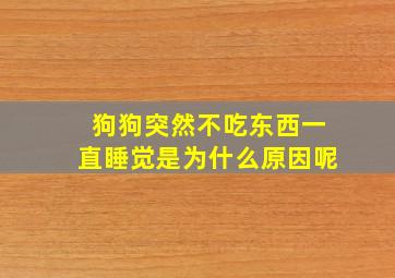 狗狗突然不吃东西一直睡觉是为什么原因呢