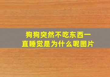 狗狗突然不吃东西一直睡觉是为什么呢图片