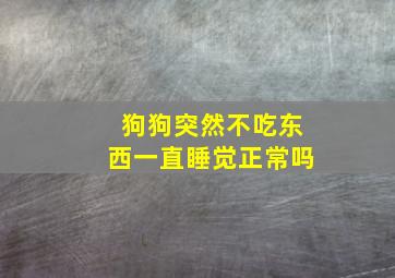 狗狗突然不吃东西一直睡觉正常吗