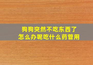 狗狗突然不吃东西了怎么办呢吃什么药管用