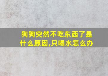 狗狗突然不吃东西了是什么原因,只喝水怎么办