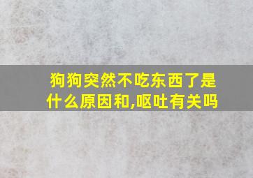 狗狗突然不吃东西了是什么原因和,呕吐有关吗