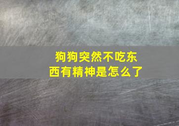 狗狗突然不吃东西有精神是怎么了