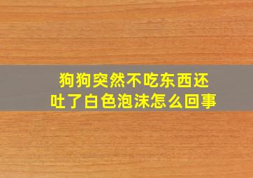 狗狗突然不吃东西还吐了白色泡沫怎么回事