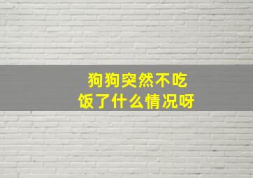 狗狗突然不吃饭了什么情况呀