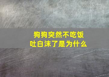 狗狗突然不吃饭吐白沫了是为什么