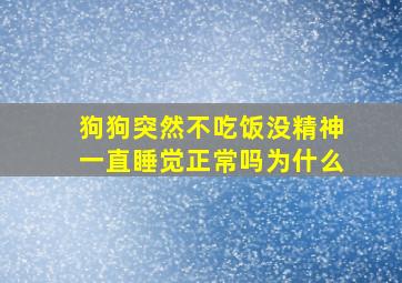 狗狗突然不吃饭没精神一直睡觉正常吗为什么