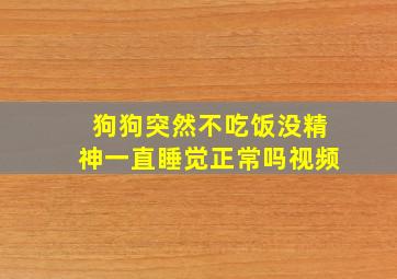 狗狗突然不吃饭没精神一直睡觉正常吗视频