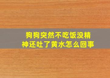 狗狗突然不吃饭没精神还吐了黄水怎么回事