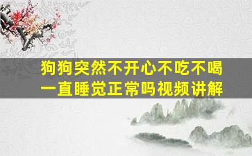 狗狗突然不开心不吃不喝一直睡觉正常吗视频讲解