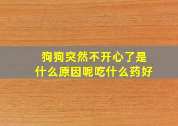 狗狗突然不开心了是什么原因呢吃什么药好