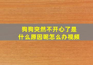 狗狗突然不开心了是什么原因呢怎么办视频