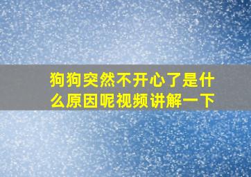 狗狗突然不开心了是什么原因呢视频讲解一下