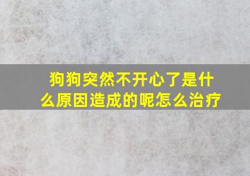 狗狗突然不开心了是什么原因造成的呢怎么治疗