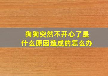 狗狗突然不开心了是什么原因造成的怎么办