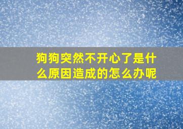 狗狗突然不开心了是什么原因造成的怎么办呢