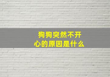 狗狗突然不开心的原因是什么