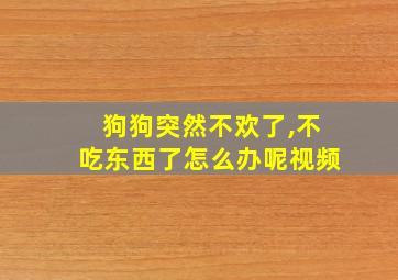 狗狗突然不欢了,不吃东西了怎么办呢视频