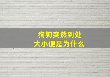 狗狗突然到处大小便是为什么