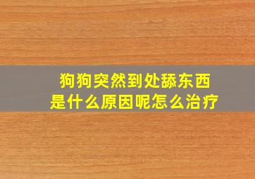 狗狗突然到处舔东西是什么原因呢怎么治疗