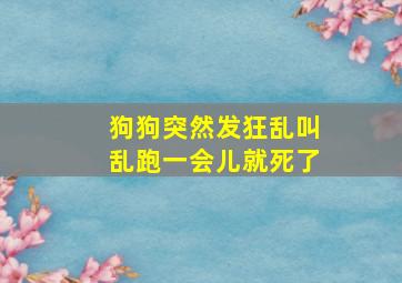 狗狗突然发狂乱叫乱跑一会儿就死了