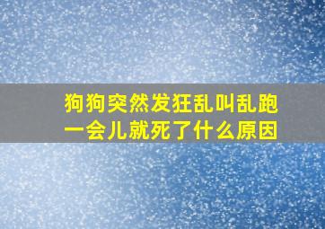 狗狗突然发狂乱叫乱跑一会儿就死了什么原因