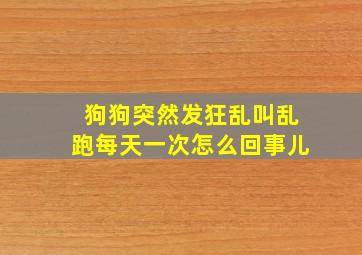 狗狗突然发狂乱叫乱跑每天一次怎么回事儿