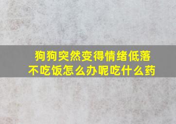 狗狗突然变得情绪低落不吃饭怎么办呢吃什么药