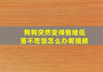 狗狗突然变得情绪低落不吃饭怎么办呢视频