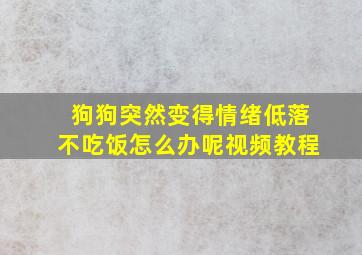 狗狗突然变得情绪低落不吃饭怎么办呢视频教程