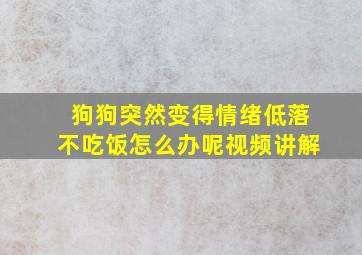 狗狗突然变得情绪低落不吃饭怎么办呢视频讲解