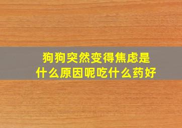 狗狗突然变得焦虑是什么原因呢吃什么药好