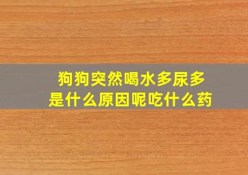 狗狗突然喝水多尿多是什么原因呢吃什么药